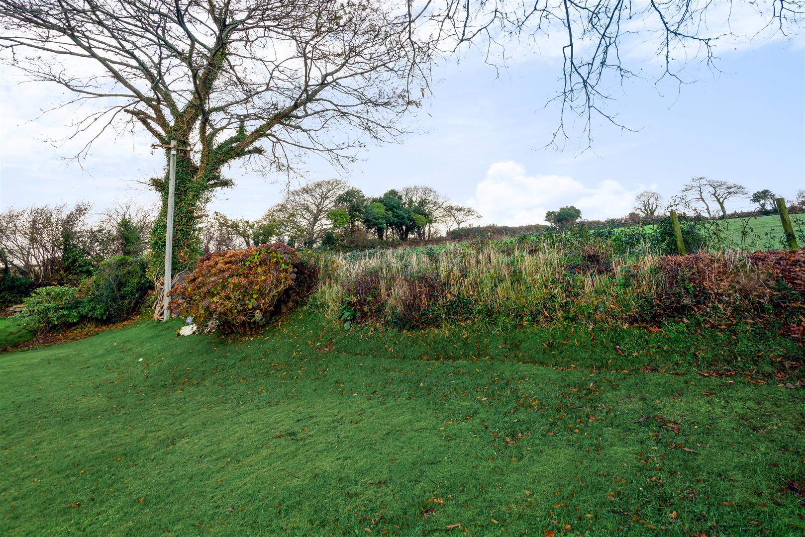 Properties for Sale Dawsons Estate Agents in Swansea and South Wales